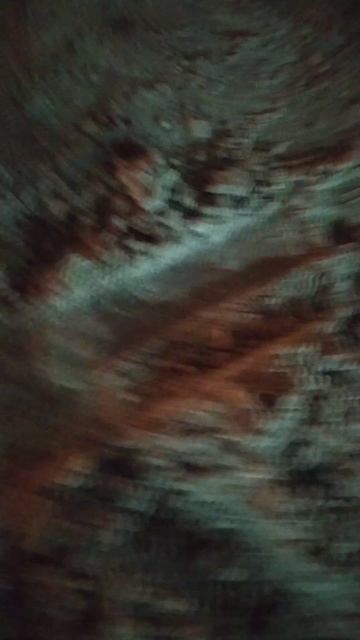 ЯНДЕКС МАРКЕТ/Лампа светодиодная габаритная LEDТ10 W5W 12v смотреть онлайн