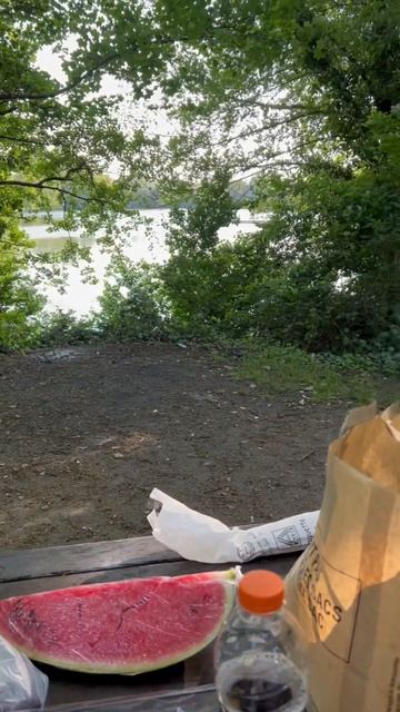 Идеальное место для шашлыка во Франции 🇫🇷 #шашлык #р?