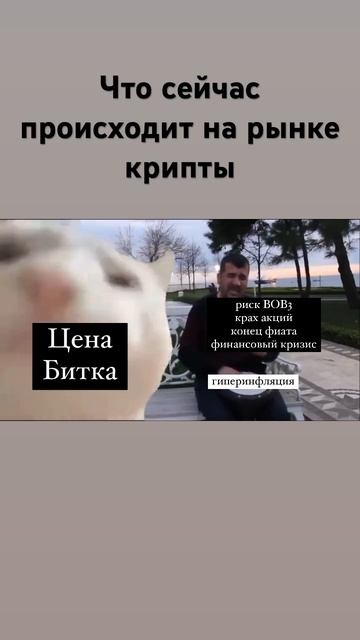 Краткая сводка по рынку крипты) #криптовалюта смотреть онлайн