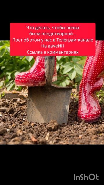 #огород #загородныйдом #дача смотреть онлайн