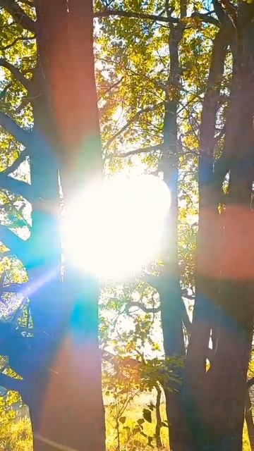 🌞И в самые тёмные времена, важно продолжать излучать смотреть онлайн