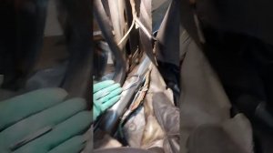 нива шевроле, нива тревел,  концевик двери подсветка