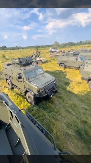 Сбор всушных псов для уточнения задач и поклонения Бандере. смотреть онлайн