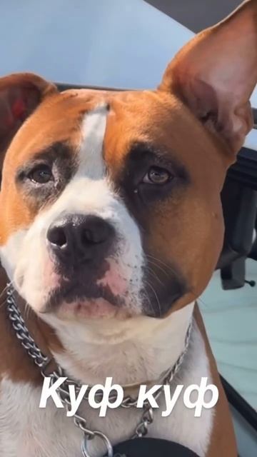 Бесплатные Курсы по трейдингу в тг ( В тг шапке профиля смотреть онлайн