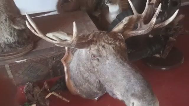 чучело смотреть онлайн