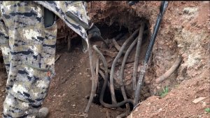 Я отправился в путешествие по неизведанным местам. Нашёл медные кабеля и чёрный металл.