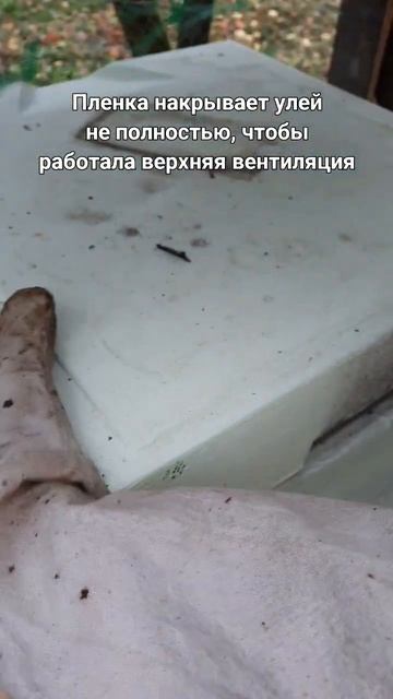 Особенности зимовки в ППУ ульях #пчеловодство #пасека смотреть онлайн