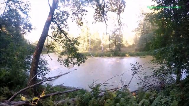 Охота на уток осенью.Вторая охота с Напарником (Будни охотника и рыбака) смотреть онлайн