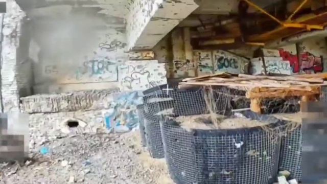 Особенности национальной охоты под Антоновским мостом смотреть онлайн