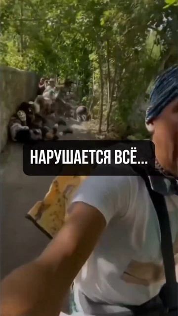 Личные финансы ! Начни ими управлять! Запись на консул?