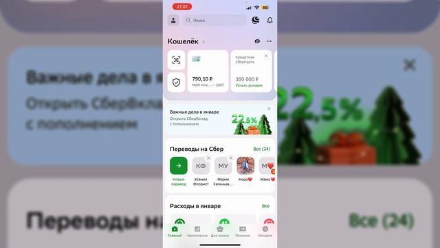 Как пополнить кошелек Вайлдберриз с карты Сбербанка з смотреть онлайн