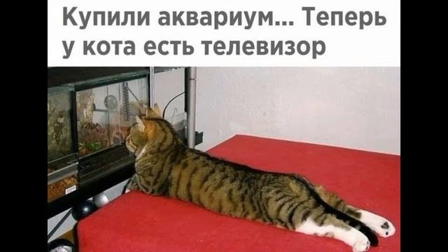 смешные картинки 2 часть, 26,06,2018 смотреть онлайн