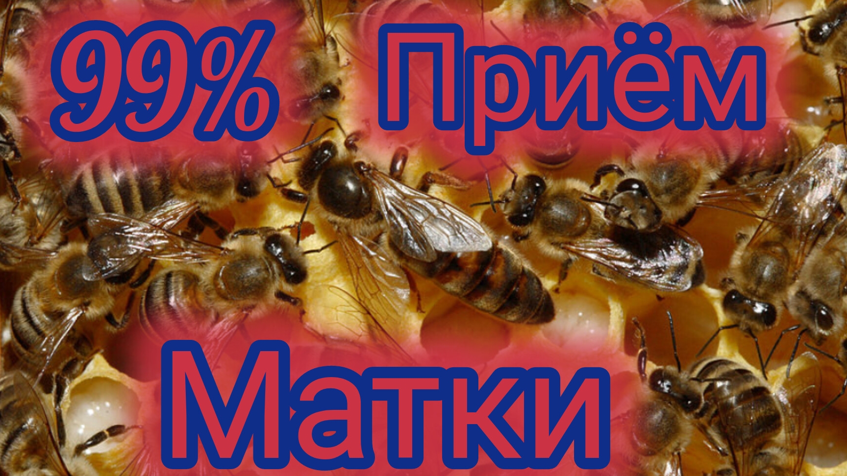 99% приём матки смотреть онлайн