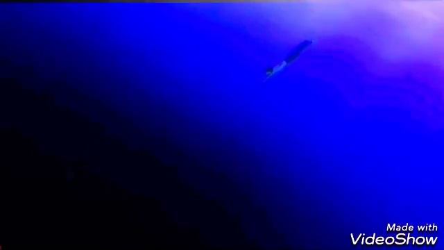 Королевская игра-[АМВ] iNSaNiTY смотреть онлайн