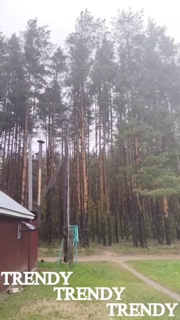 Коротко и ясно о сегодняшней погоде 🌧️ смотреть онлайн