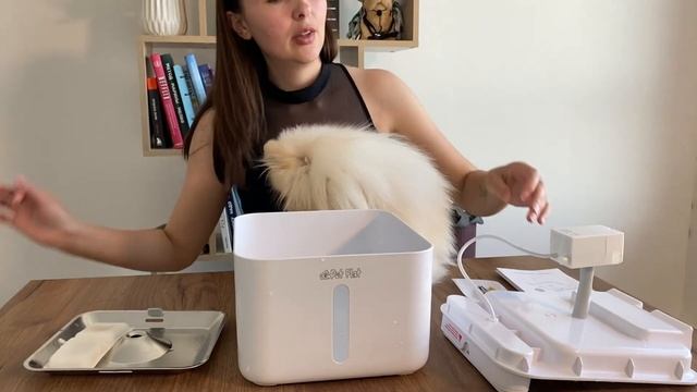 Будьте готовы к тому, что собака может не сразу оценить фонтанчик. Распаковка и тестирование. смотреть онлайн