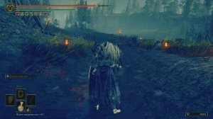 Самая СИЛЬНАЯ катана меч ночи в DLC  Elden Ring shadow of the erdtree