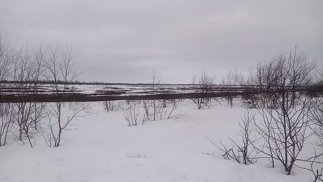 Весна 2025 г. смотреть онлайн