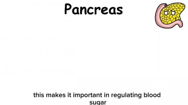 parts of the body and their functions