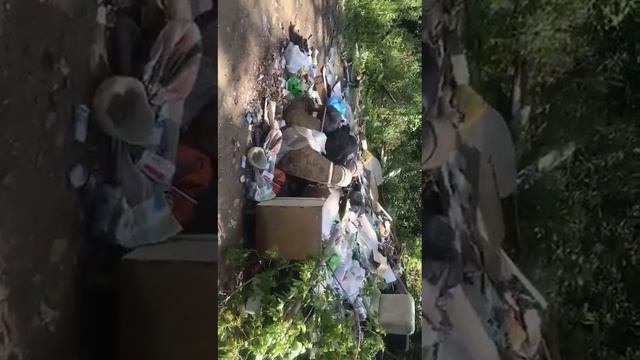 Свалка в посёлке Олха смотреть онлайн