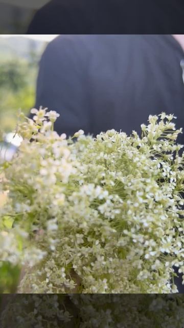 Дагестан , Агачаул