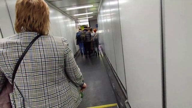 Грузимся на рейс S7 Airlines Airbus A320 NEO | Пулково Санкт-Петерб