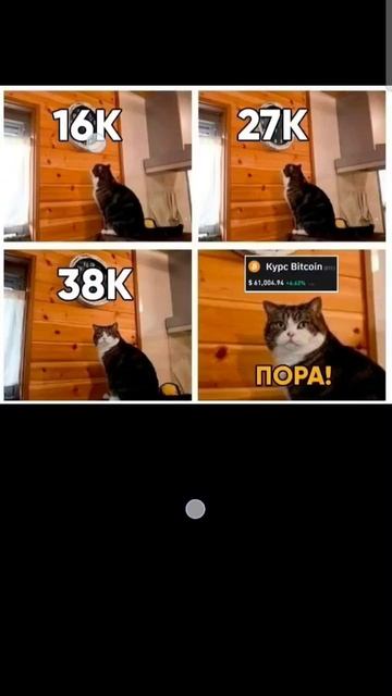 закупаемся #инвестиции #покупка #crypto #криптовалюта смотреть онлайн