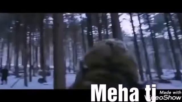 Великий тигр я ненавижу)))((( подписался и лайк бичикен смотреть онлайн