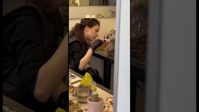 Растения.3 занятие.3 часть.фаленопсис #курсыфлористики смотреть онлайн