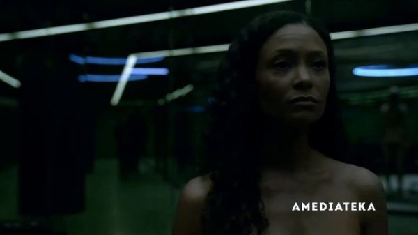 Западный мир / Westworld (2016)