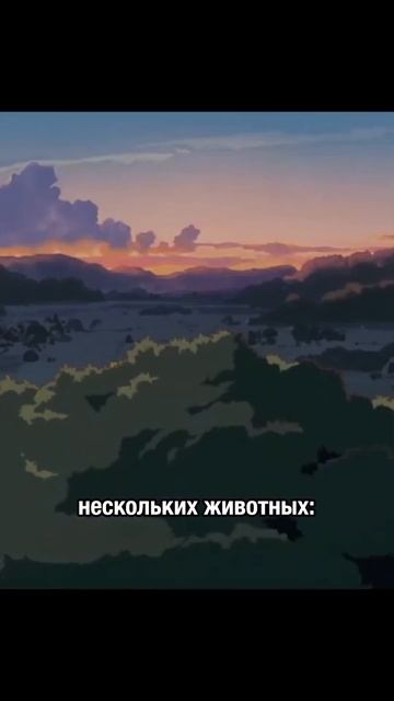 Кто такой Тоторо? #shorts #voka #видеосервис #кино смотреть онлайн