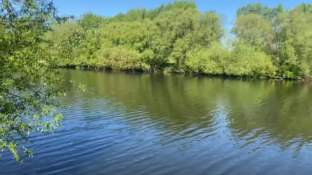 природа смотреть онлайн