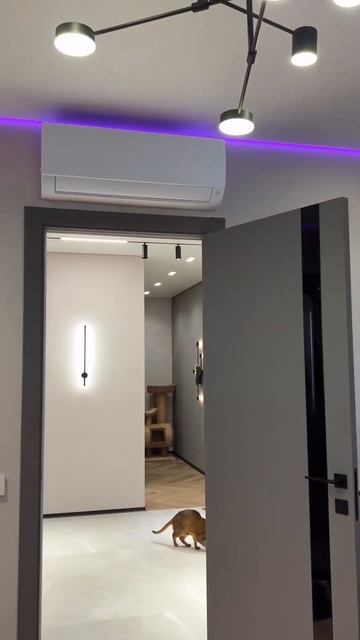 Цветная подсветка, споты и люстра/ Мощный объект 🔥 #ре смотреть онлайн