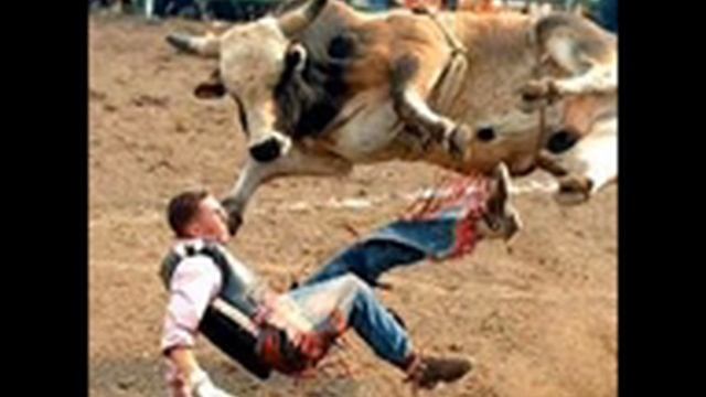 Прикольное видео в картинках .Родео и быки . смотреть онлайн