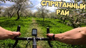 ГРЕВЕЛ покатушка | НЕВЕРОЯТНОЕ место в Коломенском парке