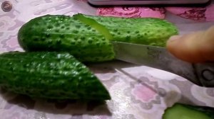 огурец Кураж F1