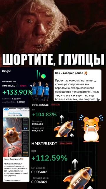HAMSTER KOMBAT SHORT #крипта #интервью #заработоквинтернете #ме? смотреть онлайн