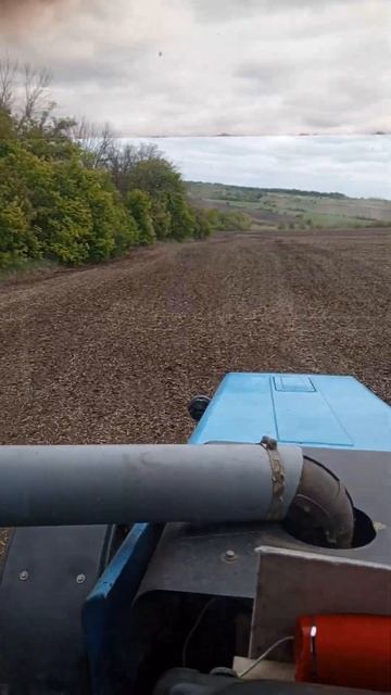 Не путёвый вернулся 😁 #поле #тракторист #механизатор # смотреть онлайн