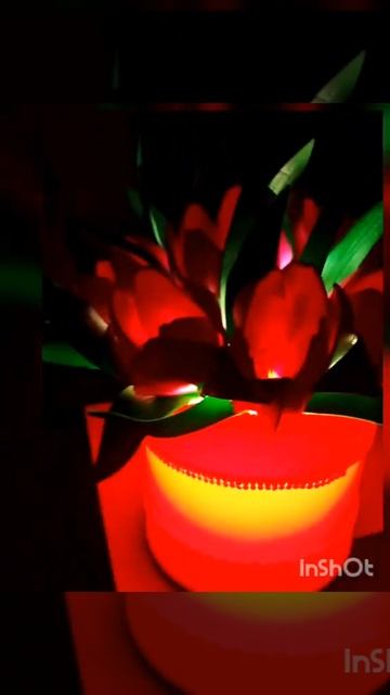 Тюльпаны в шляпной коробке, светильник