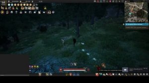 BDO  Сок ольхи
