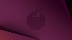 Установка Ubuntu 25.04.