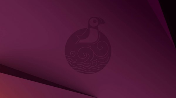 Установка Ubuntu 25.04.