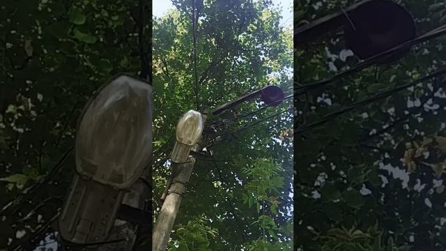 Советский светильник на пару с ЖКУ 16-250-001 смотреть онлайн