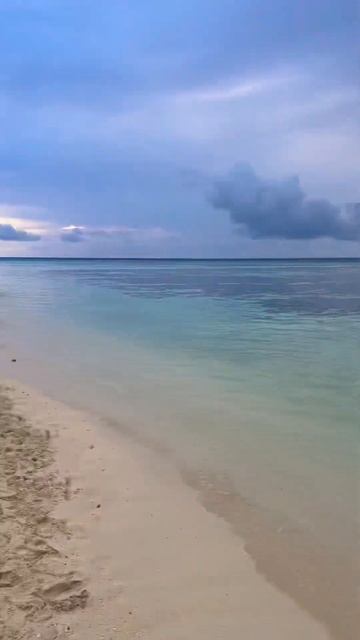 #plumeria #maldives #beautiful #family #verybeautiful #2023 #maldives #отдых #семья #love смотреть онлайн