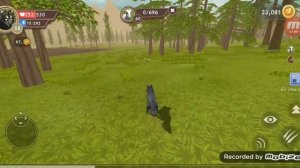 Прокачка волка до 100 лвл | WildCraft Белая шоколадка