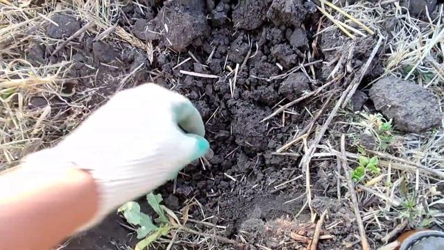 Мультичастотный металлоискатель ванквиш. Реальный КО смотреть онлайн