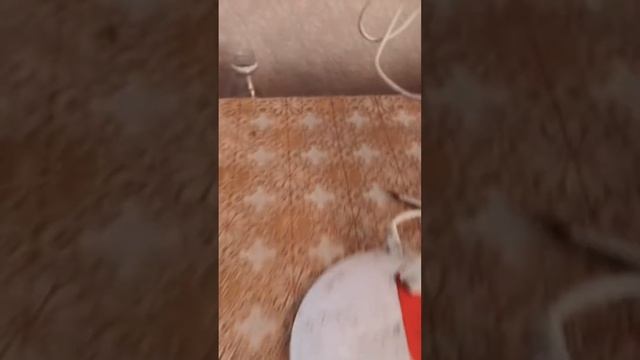 Новый светильник