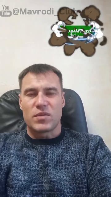 Помощь на 15.000р от кассы взаимопомощи МММ. Отзыв участн смотреть онлайн