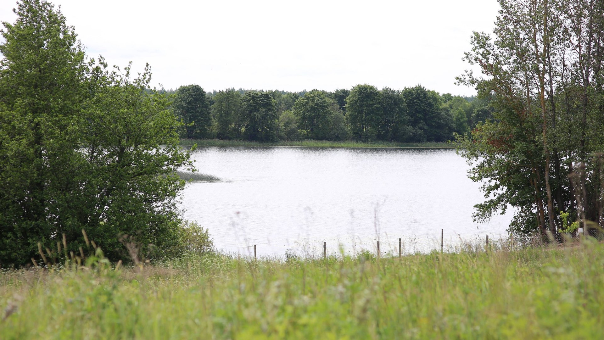 Лучшее место на Земле....Мой Невель ! смотреть онлайн