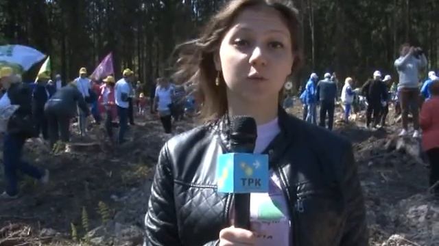 Акция «Лес Победы» продолжилась в Кубинском и Хлюпинс смотреть онлайн